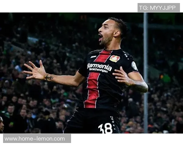 图卢兹与里尔最新比赛数据分析及战绩对比详解 图卢兹与里尔最新比赛数据分析及战绩对比详解