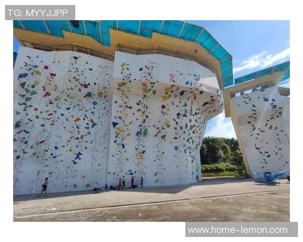 广州攀岩队心理素质引发热议与争议背后的深层原因探讨